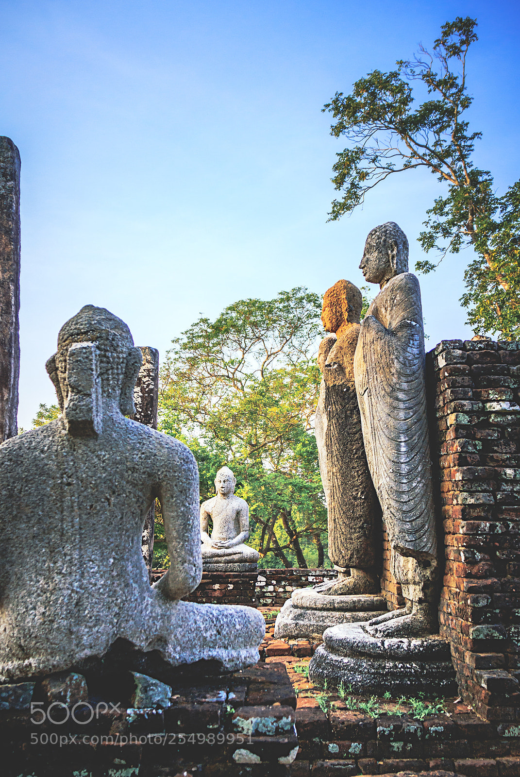 Canon EOS 600D (Rebel EOS T3i / EOS Kiss X5) sample photo. The medirigiriya buddhas #6 photography