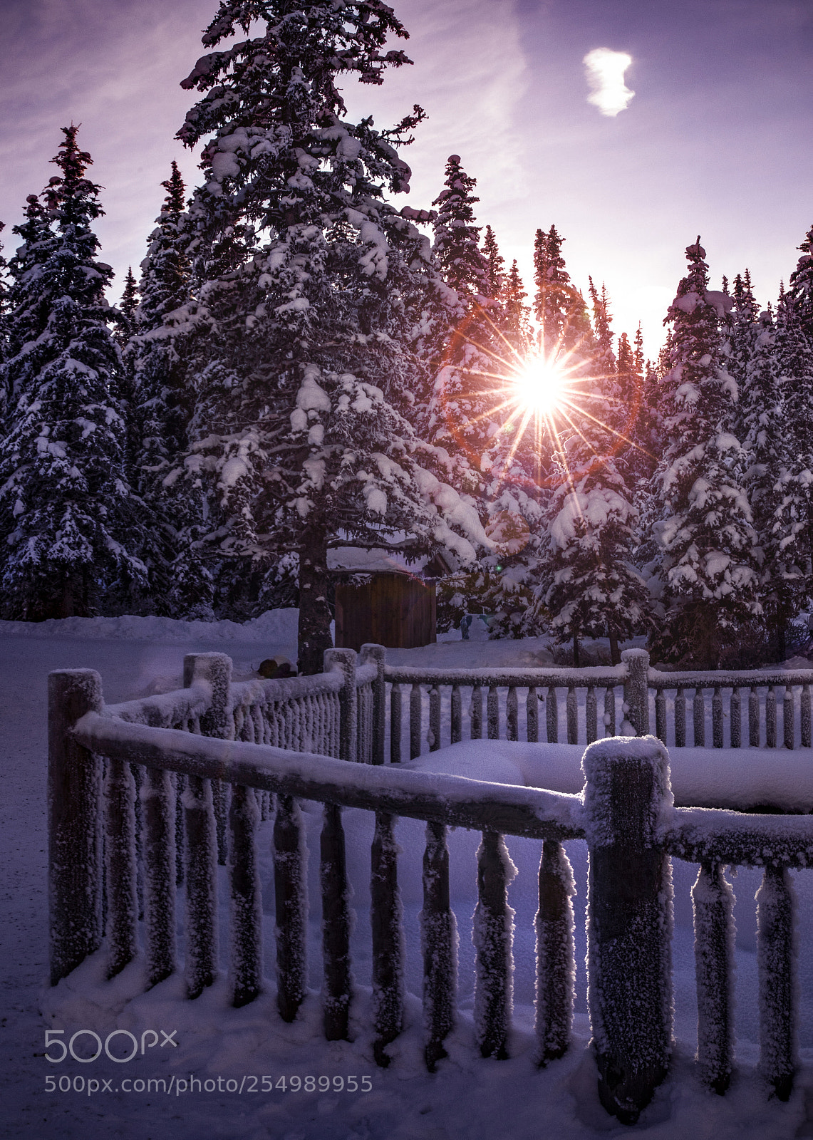 Canon EOS 7D Mark II sample photo. Winter sunrise photography