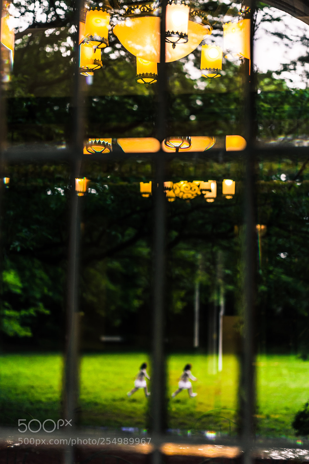 Nikon D810 sample photo. A parallel world photography