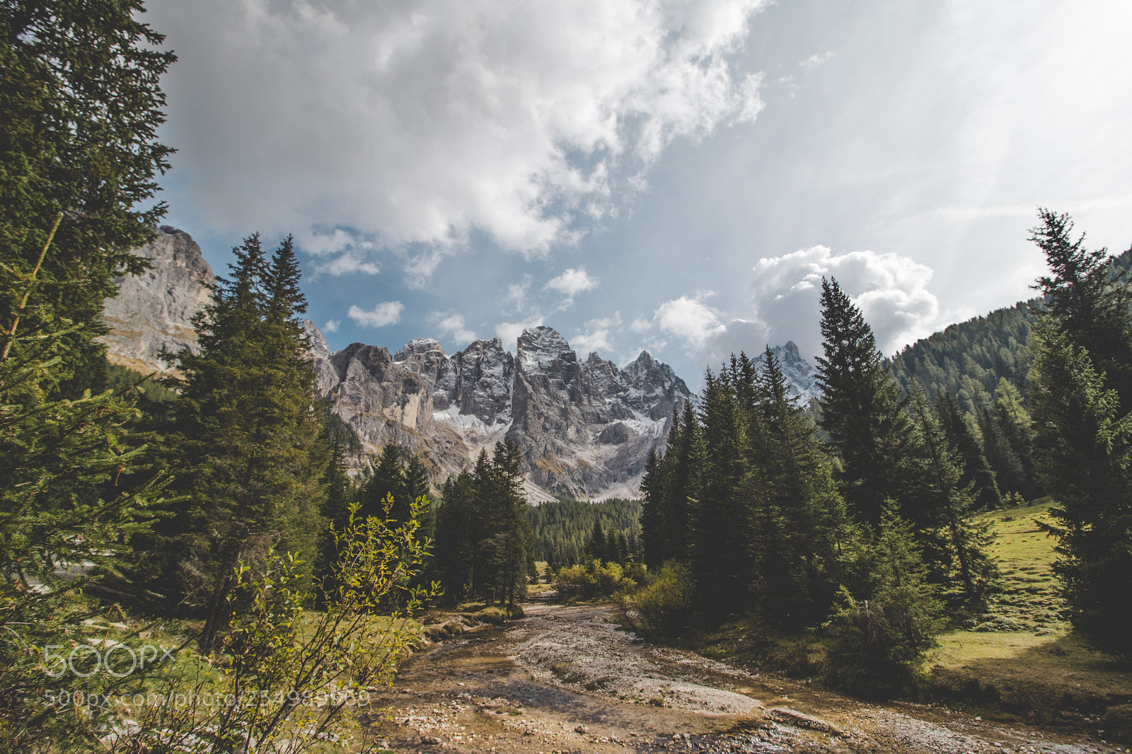 Canon EOS 80D sample photo. Pale di san martino photography