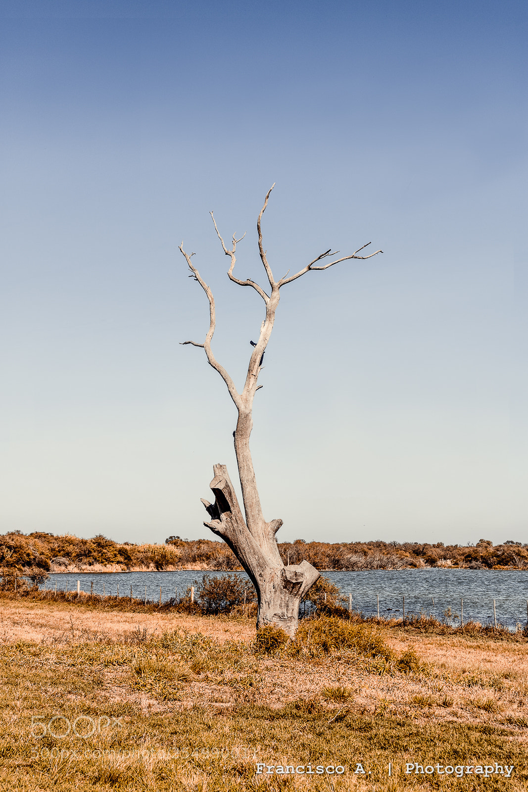 Canon EOS 750D (EOS Rebel T6i / EOS Kiss X8i) sample photo. Landscape argentina 2 photography