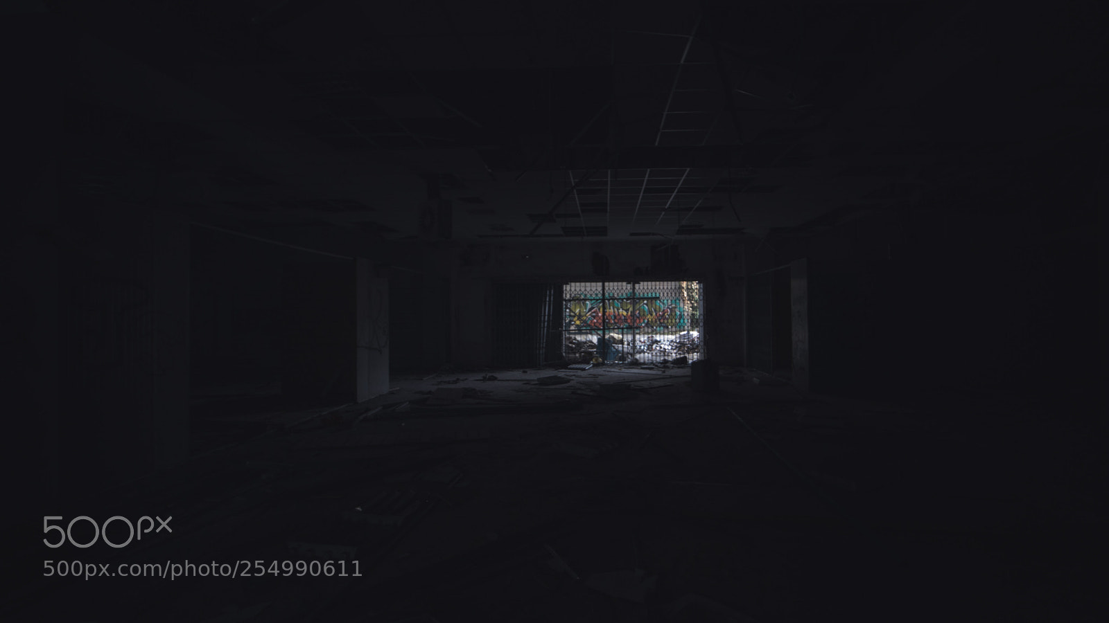 Canon EOS 80D sample photo. Find the light photography