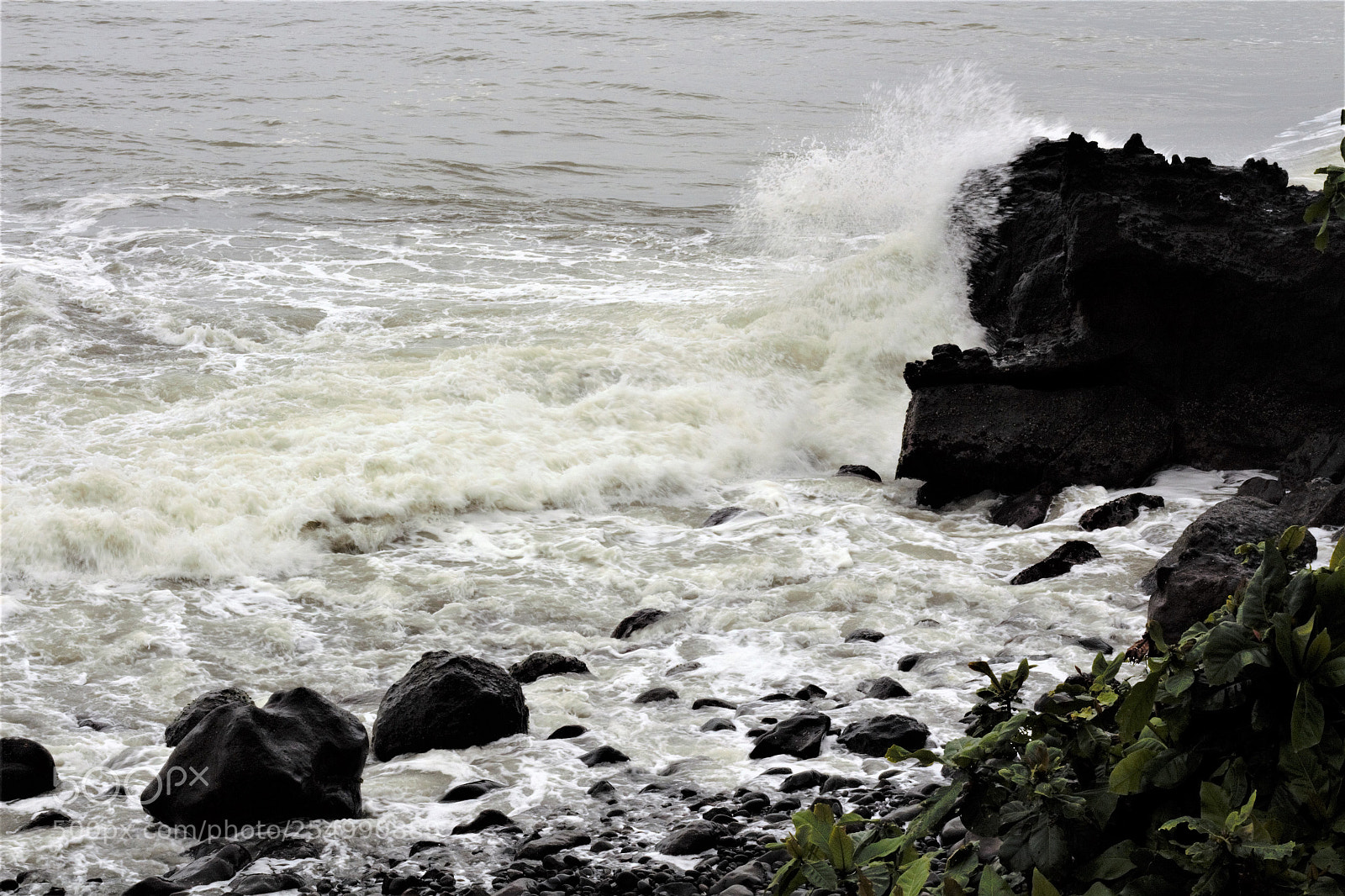 Canon EOS 650D (EOS Rebel T4i / EOS Kiss X6i) sample photo. Untitled photography