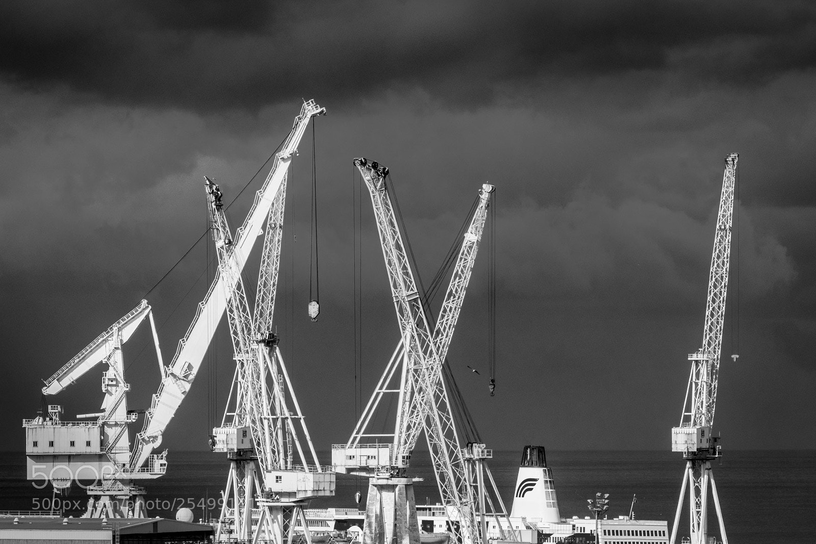 Sony Cyber-shot DSC-RX10 III sample photo. Harbor wardens photography