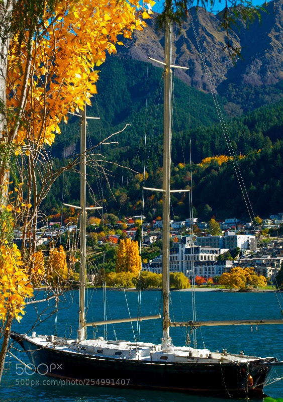Nikon D5000 sample photo. Autumn winds photography