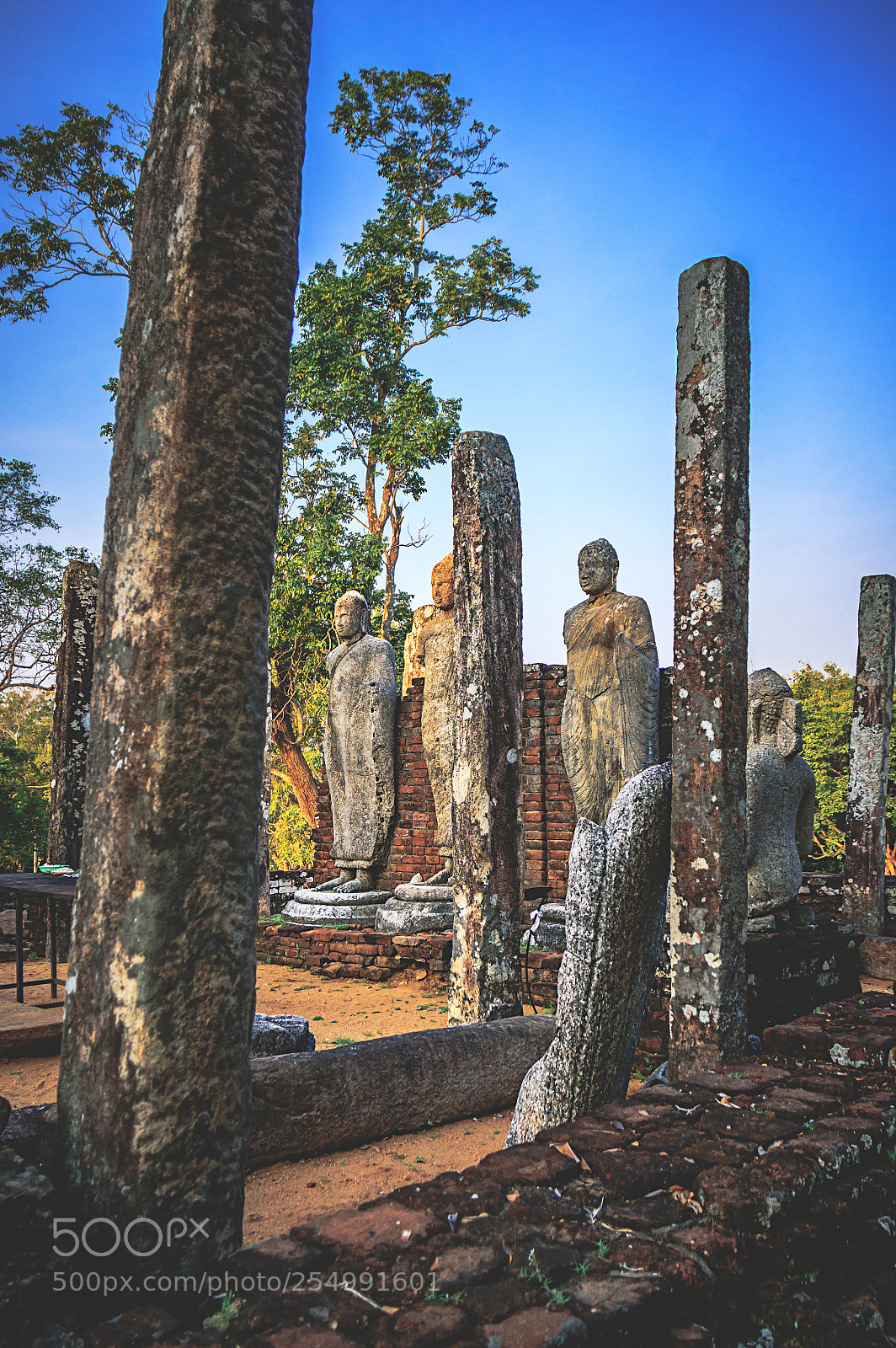 Canon EOS 600D (Rebel EOS T3i / EOS Kiss X5) sample photo. The medirigiriya buddhas #2 photography