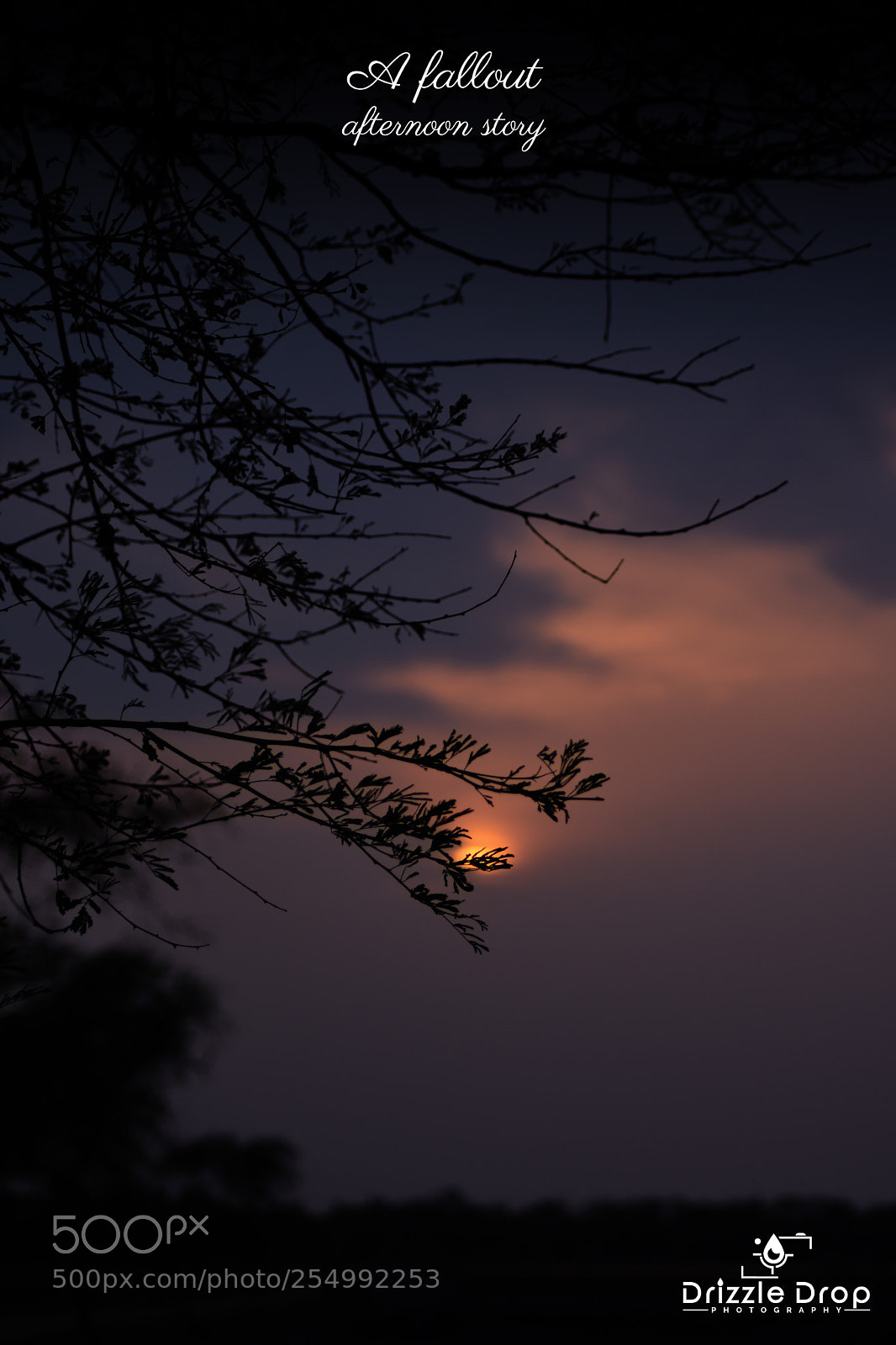 Nikon D7200 sample photo. A fallout afternoon photography