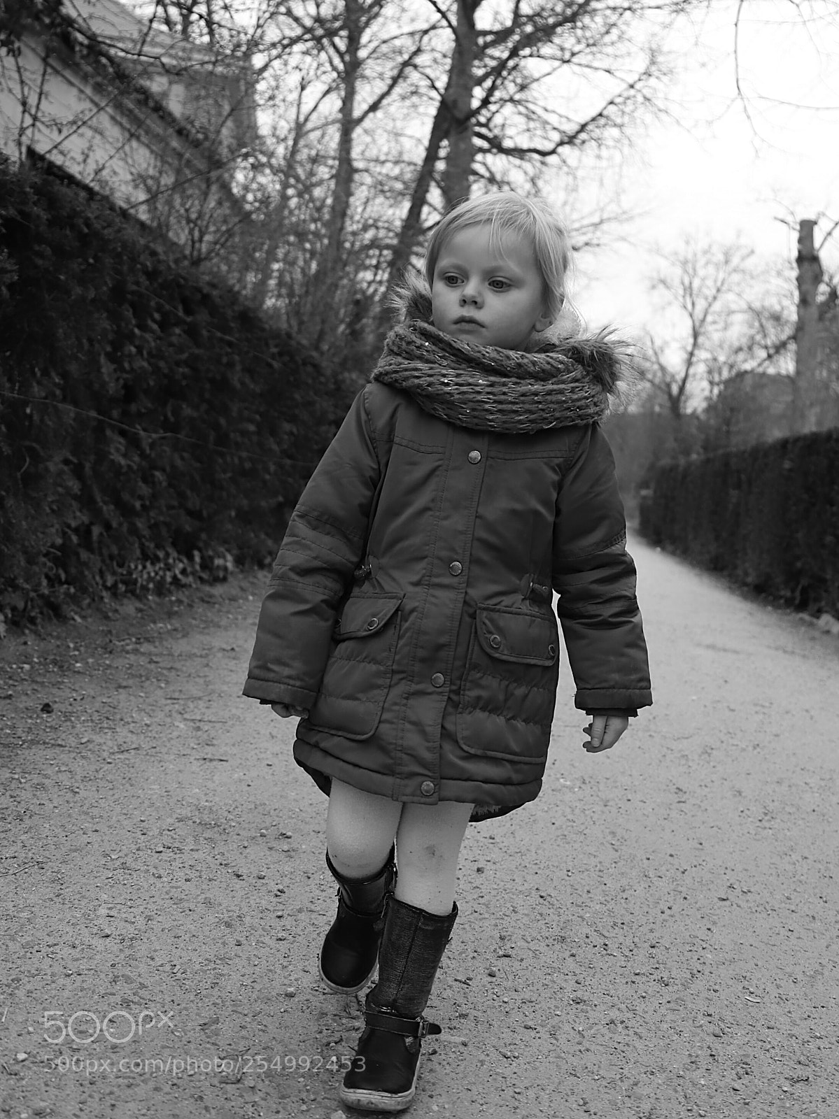 Canon EOS 6D Mark II sample photo. Untitled photography