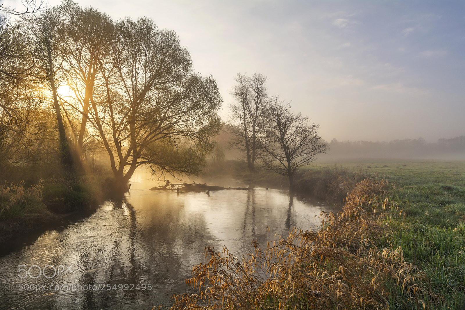 Nikon D5200 sample photo. Spring sunrise on rawka photography
