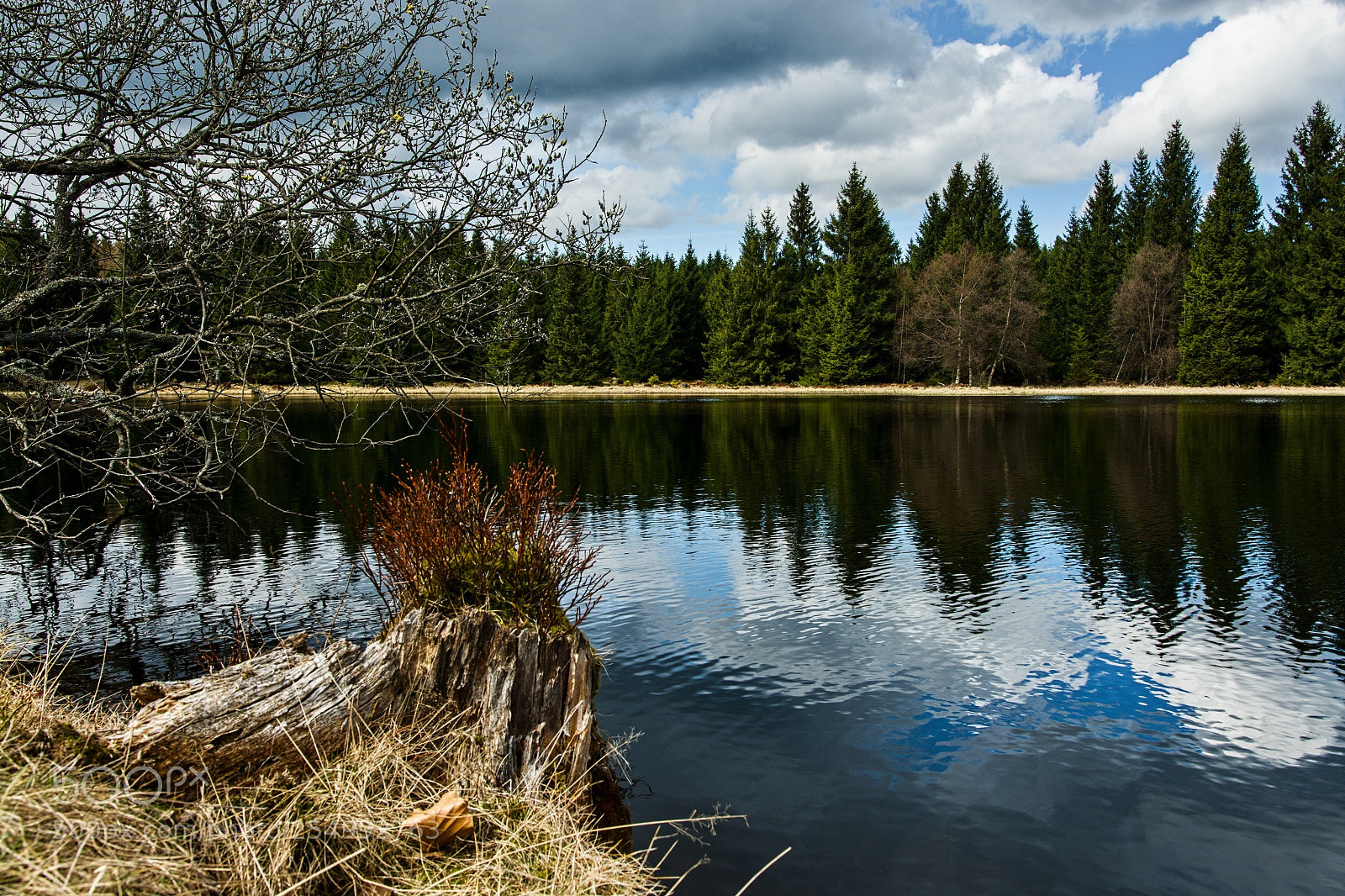 Nikon D7100 sample photo. Wüster teich photography