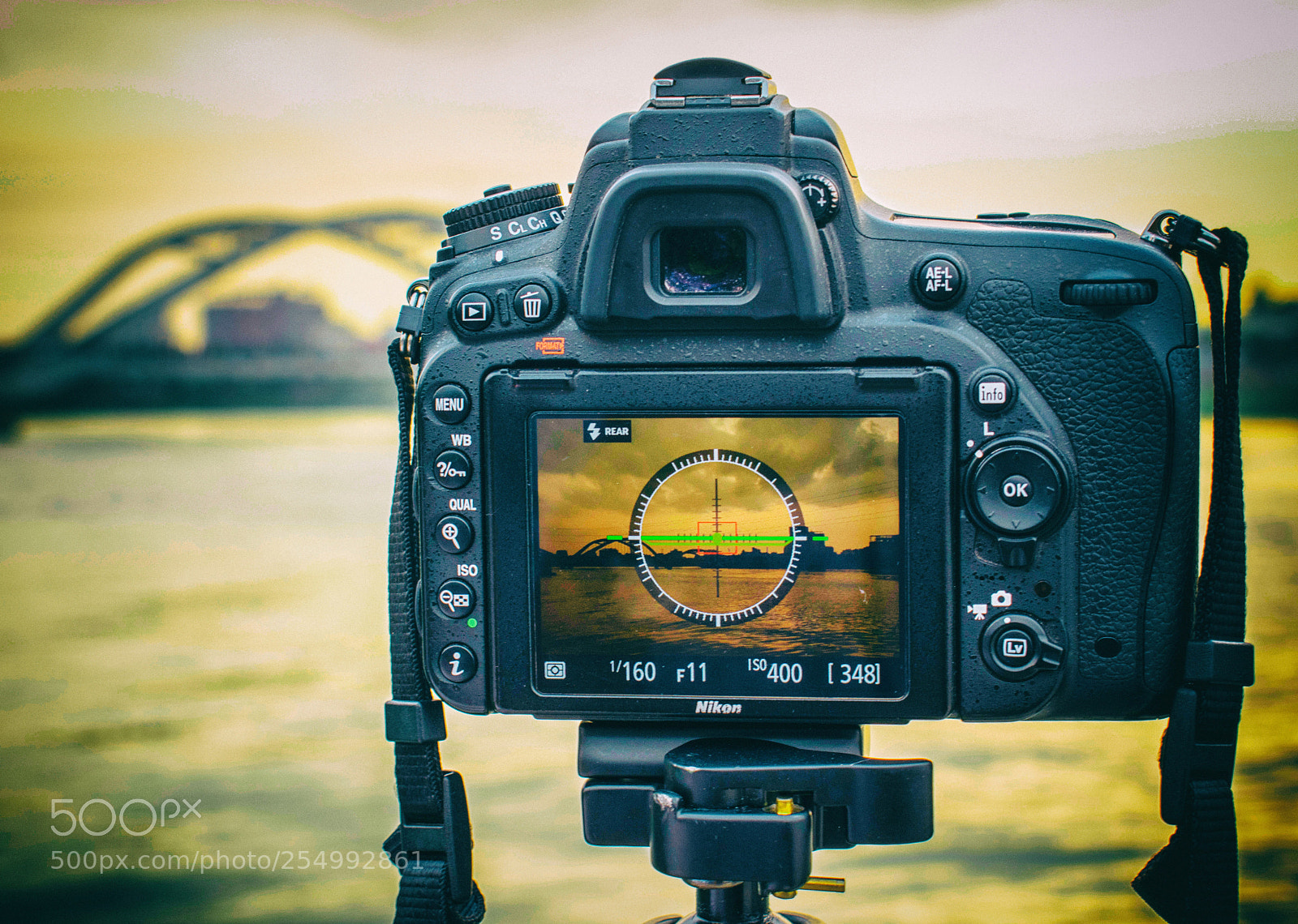 Nikon D5500 sample photo. Camera view photography
