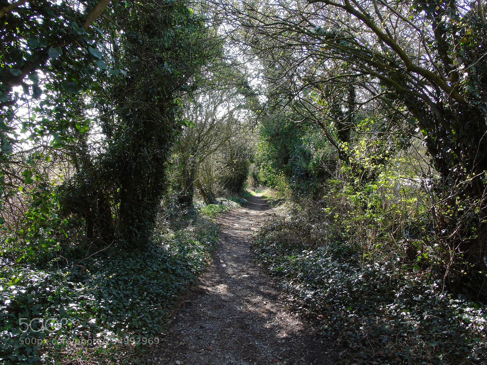 Sony Cyber-shot DSC-H400 sample photo. Old lane, public footpath photography