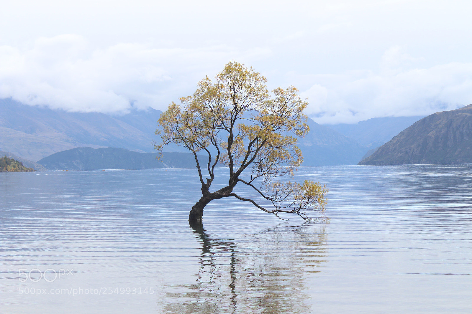 Canon EOS 700D (EOS Rebel T5i / EOS Kiss X7i) sample photo. Lonely tree photography