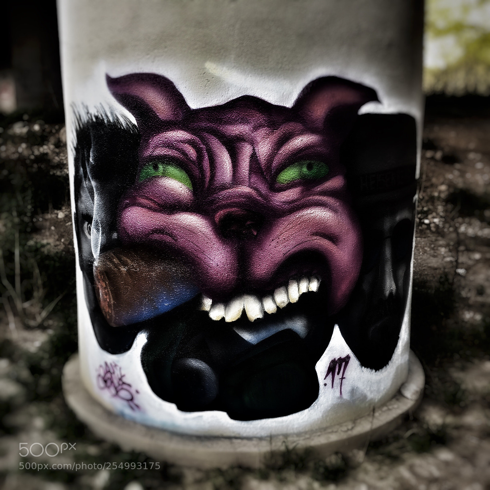 Apple iPhone 6 sample photo. Untitled photography