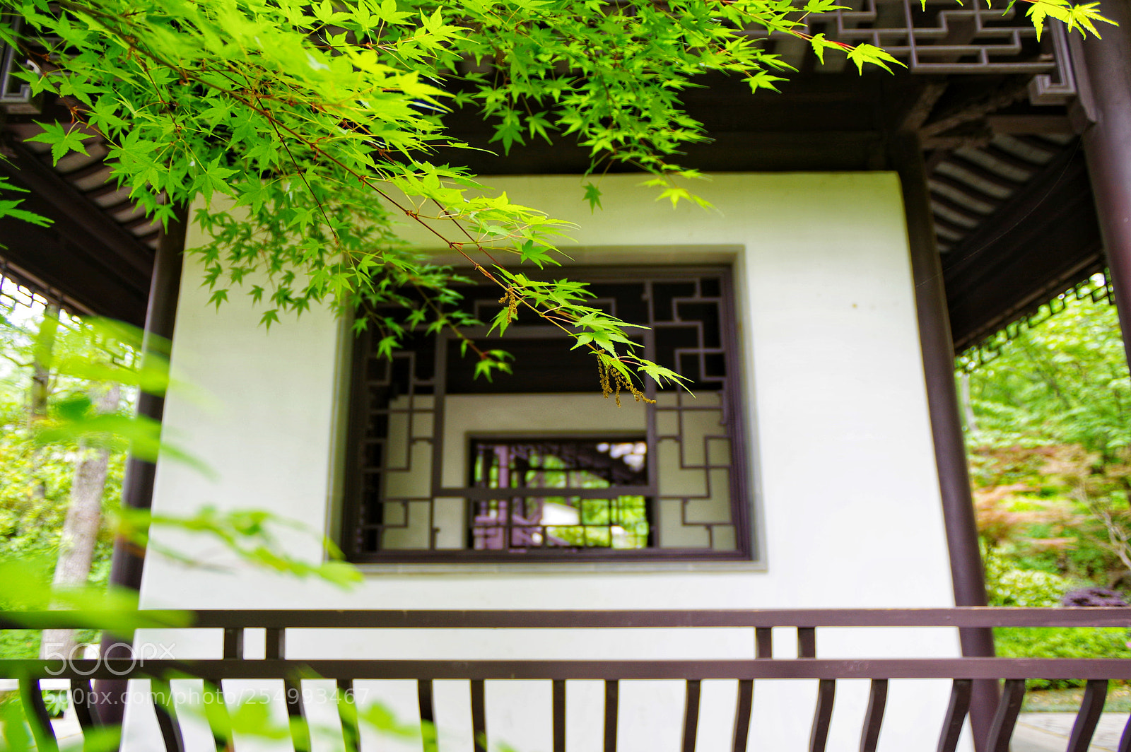 Pentax K-3 II sample photo. Untitled photography
