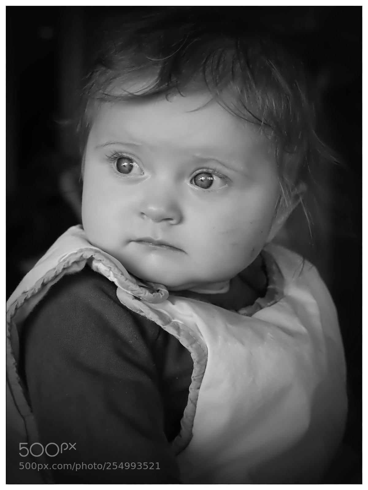 Canon EOS 6D Mark II sample photo. Untitled photography