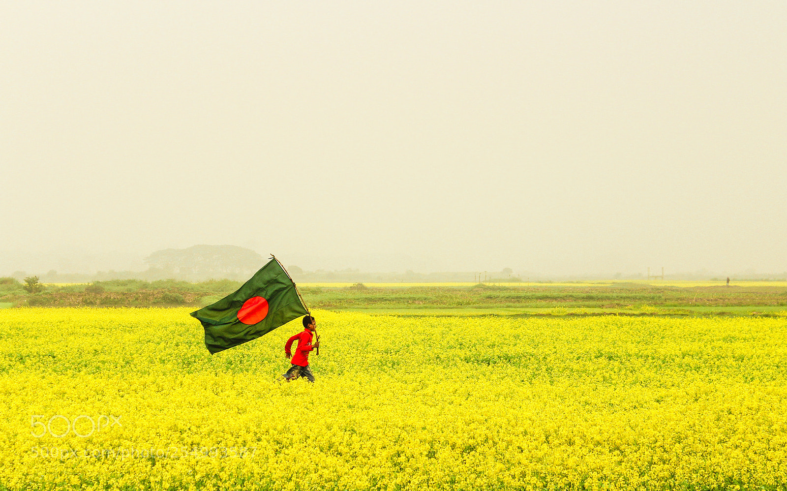 Canon EOS 600D (Rebel EOS T3i / EOS Kiss X5) sample photo. Bangladesh forever photography