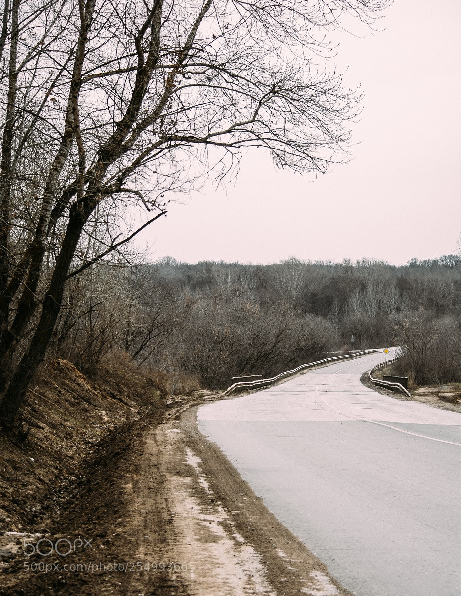 Nikon D7100 sample photo. Untitled photography