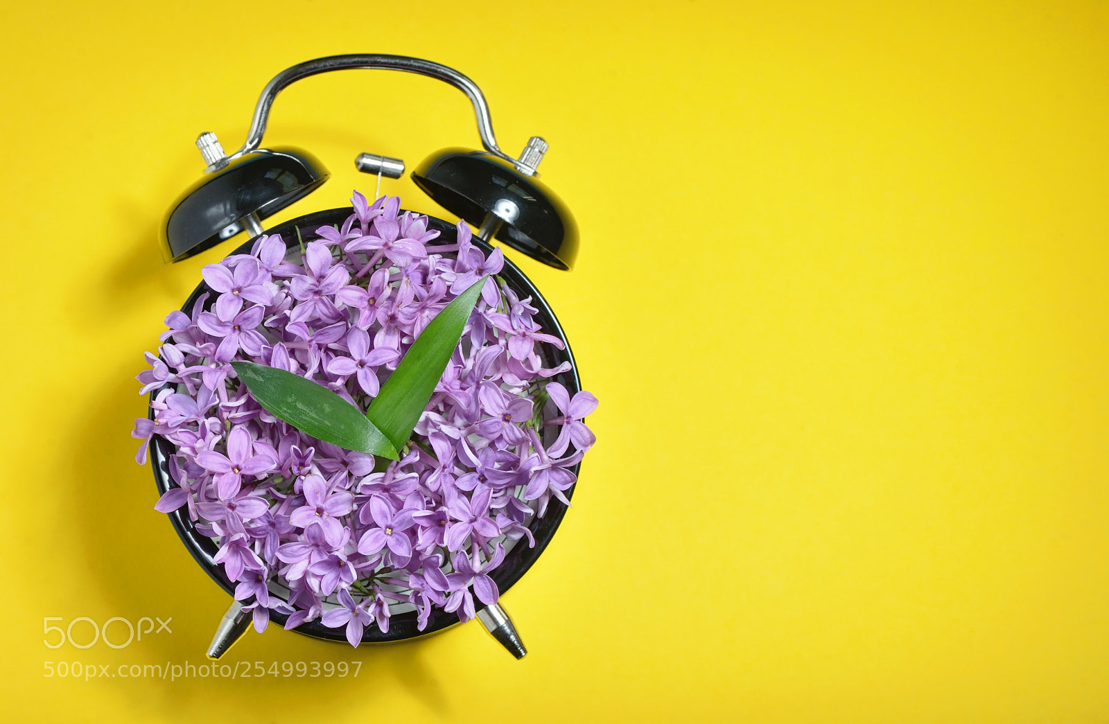 Nikon D610 sample photo. Spring time clock concept photography