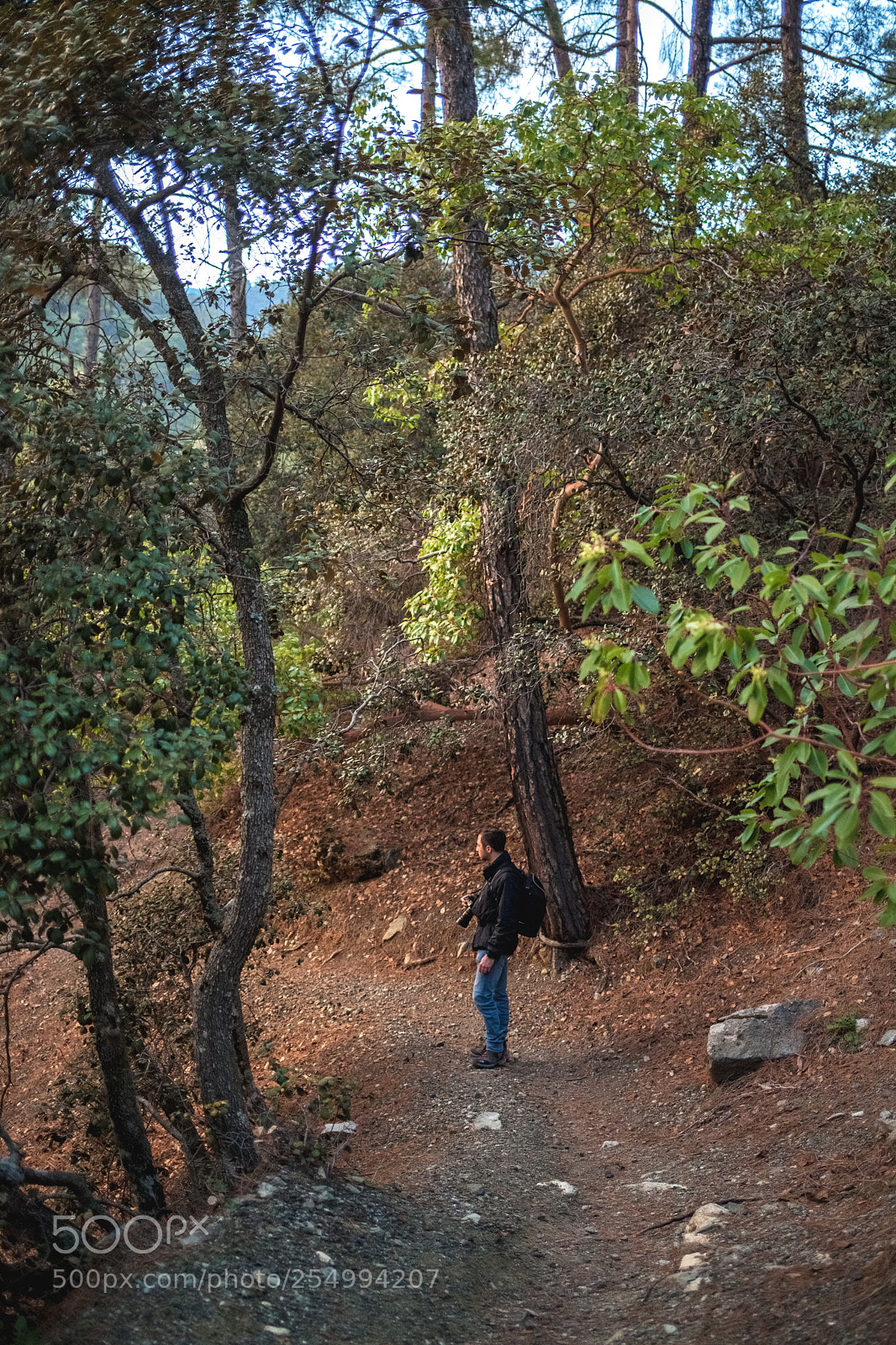 Canon EOS 5D Mark II sample photo. Psilo dendro, platres photography