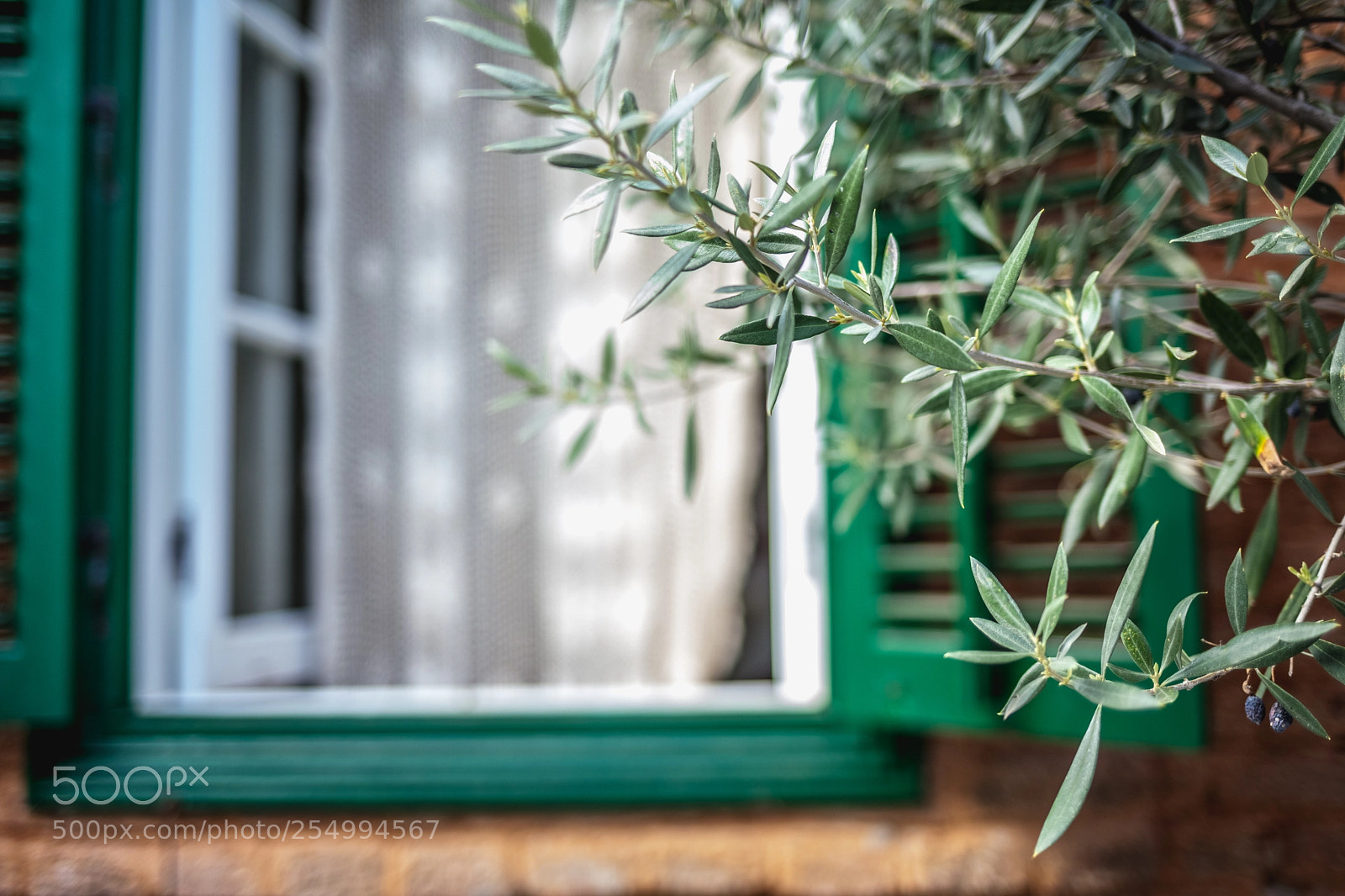 Canon EOS 5D Mark II sample photo. Kalopanagiotis photography