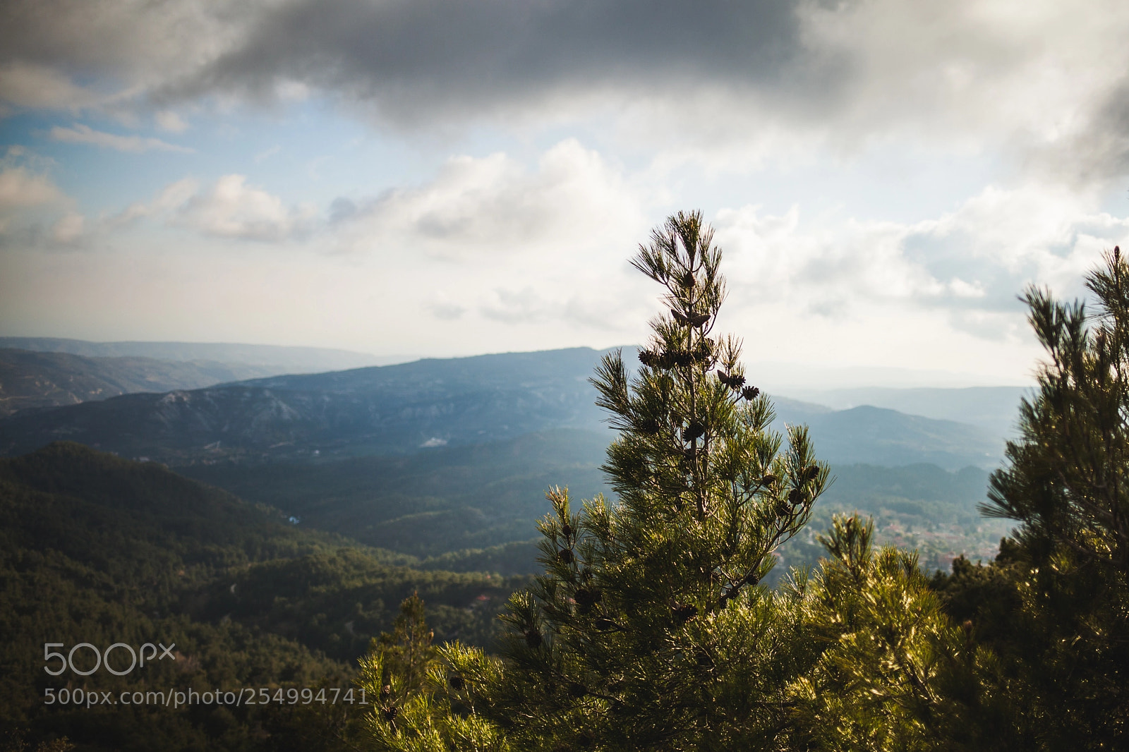 Canon EOS 5D Mark II sample photo. Psilo dendro, platres photography
