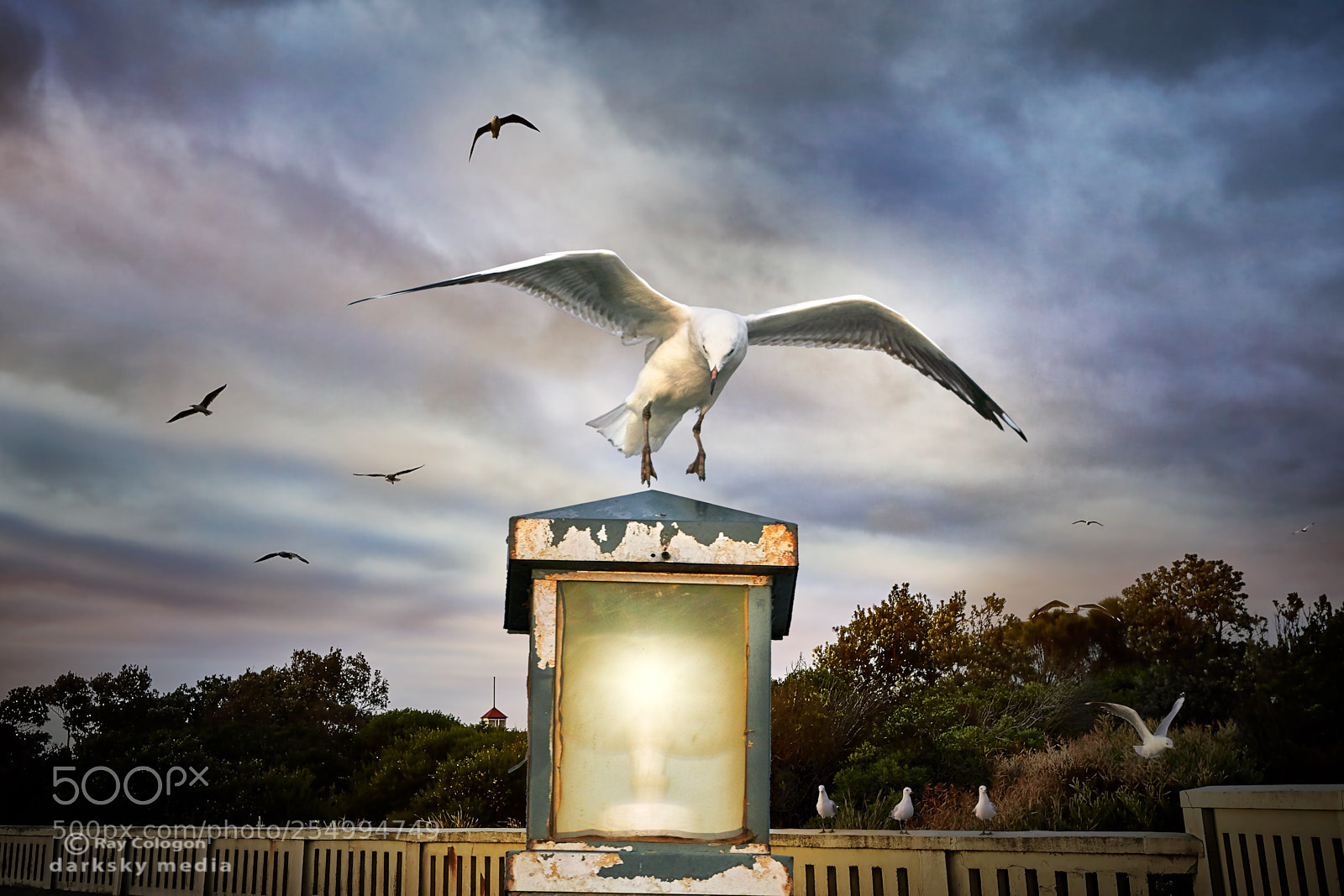Sony a7R III sample photo. Lamp alighting photography