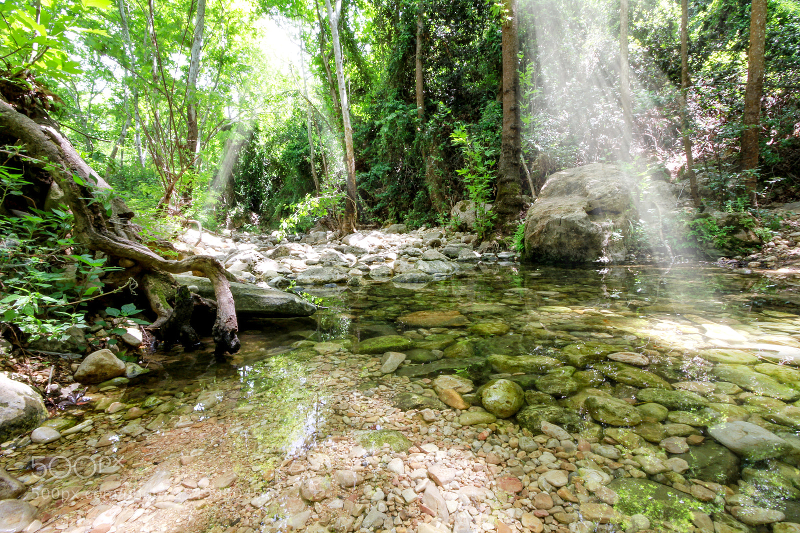 Canon EOS 7D sample photo. Ray photography