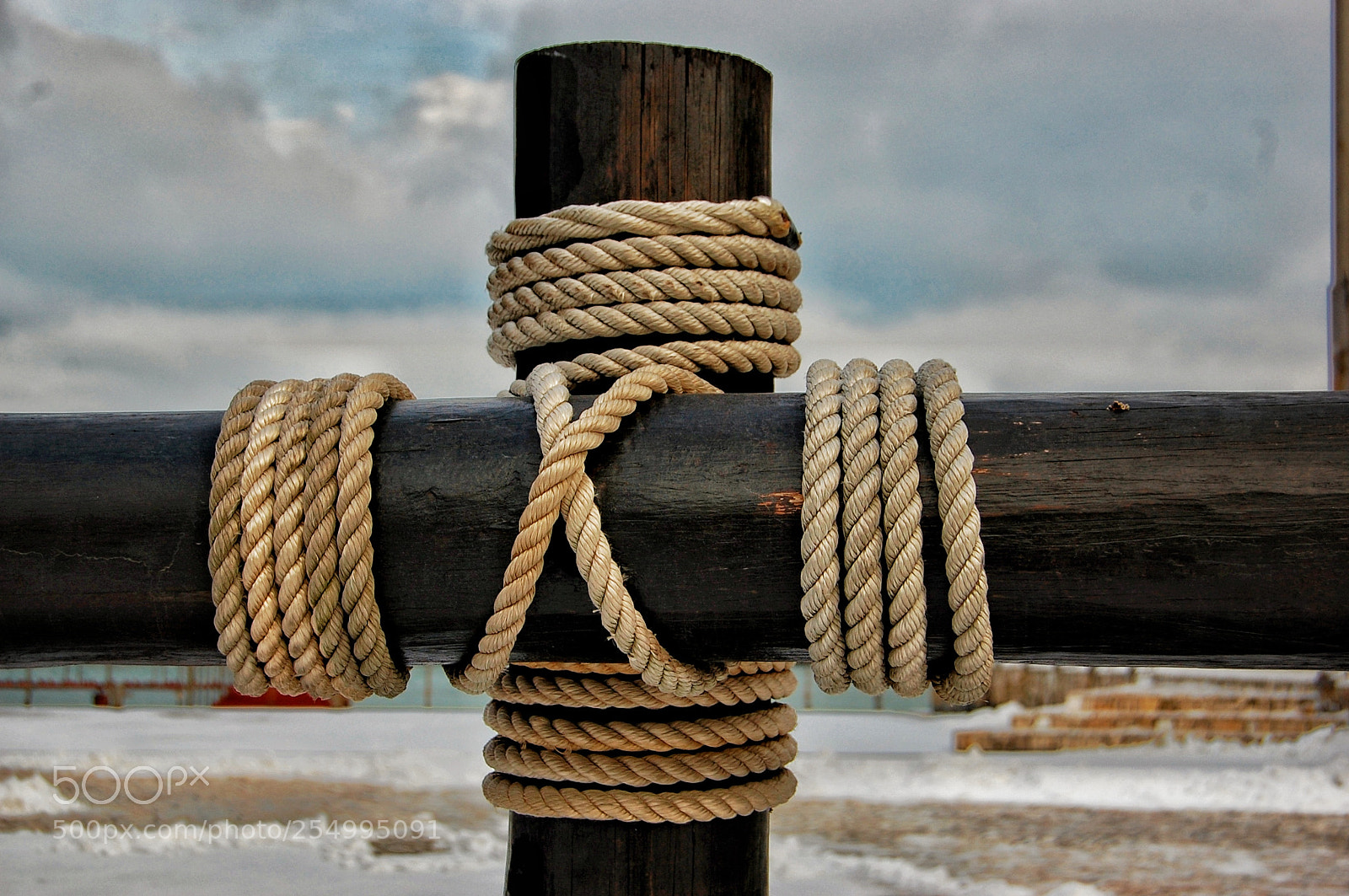 Nikon D40 sample photo. Untitled photography