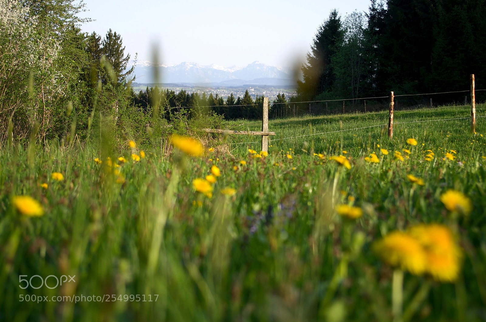 Pentax K-5 sample photo. Alpenspitze photography