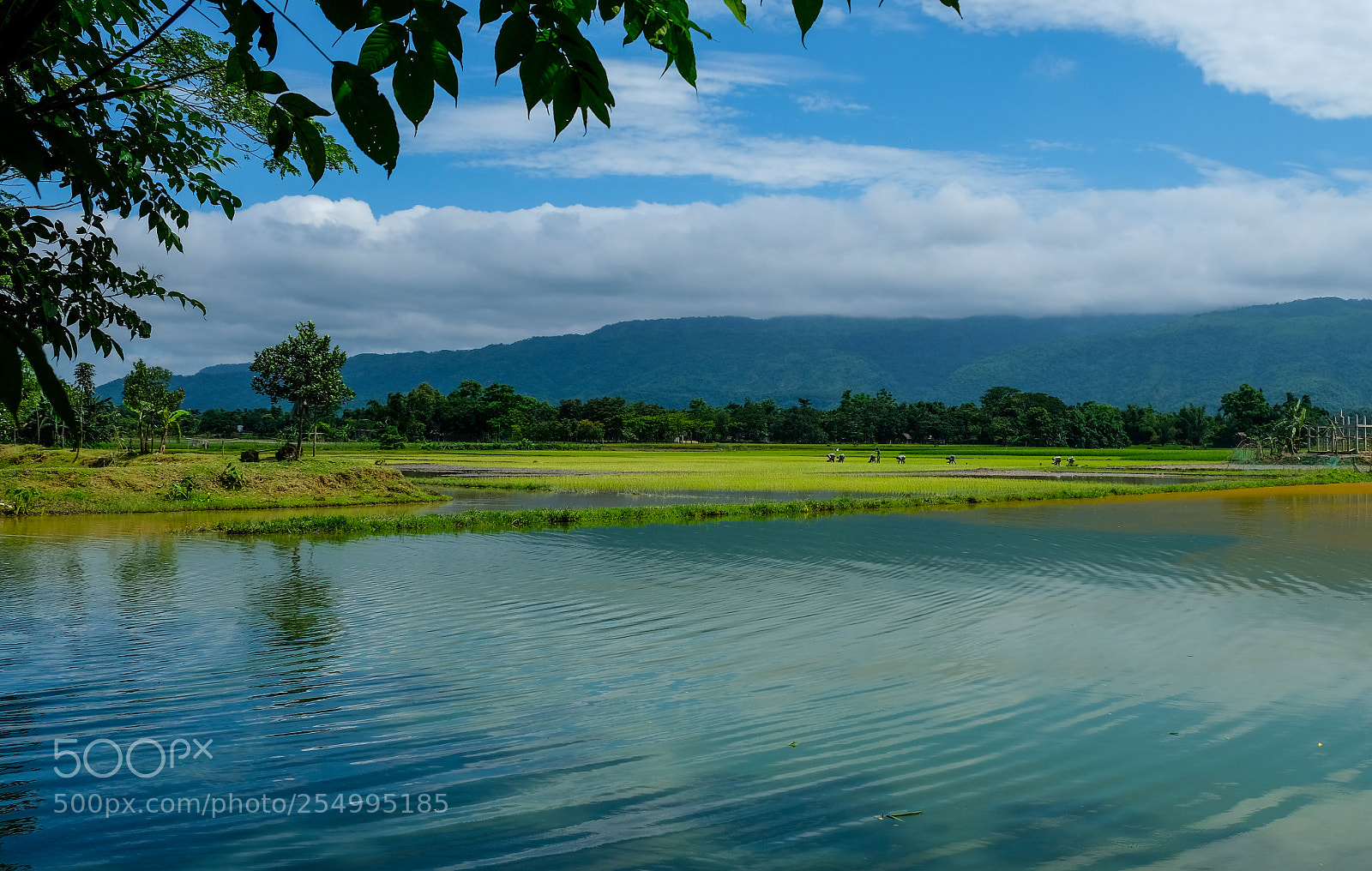 Fujifilm X-T2 sample photo. The mountains are calling photography