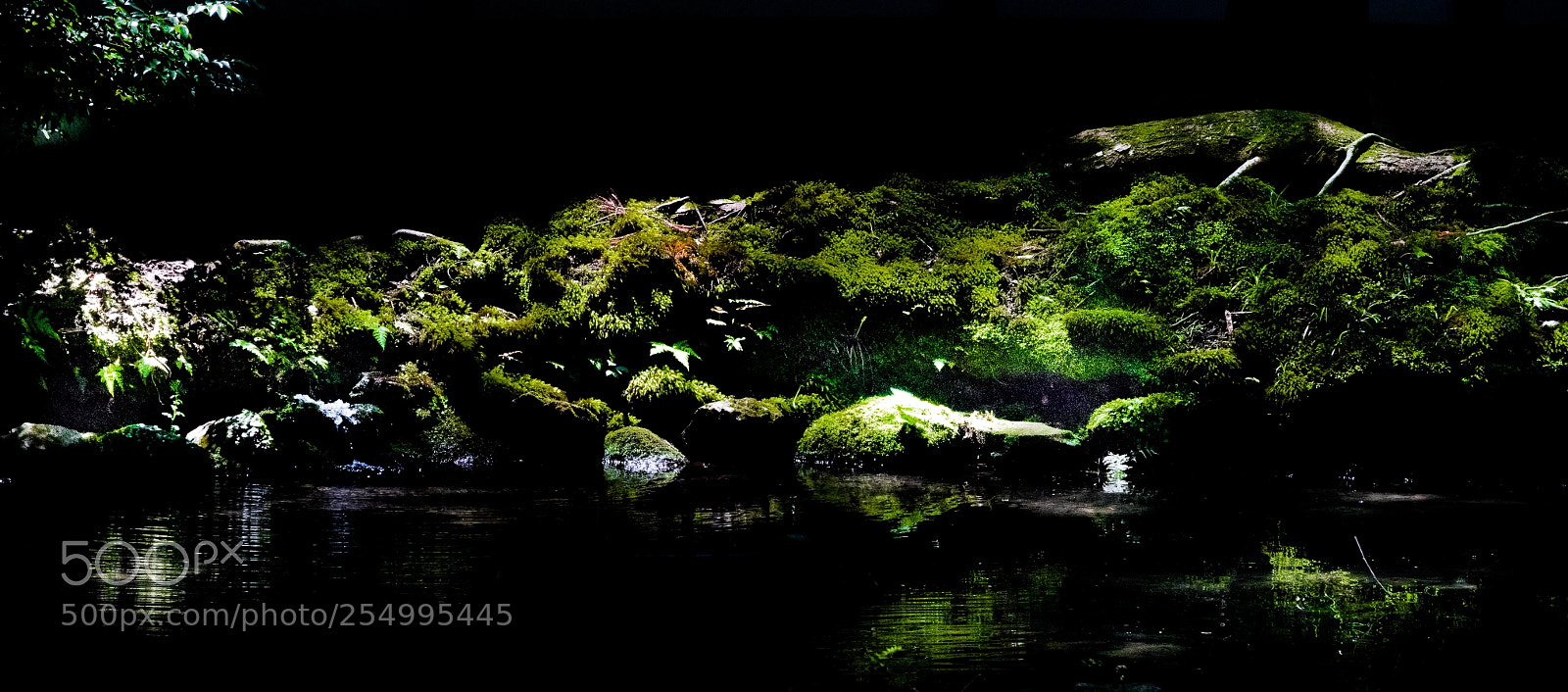 Canon PowerShot G7 X Mark II sample photo. Fairy tale's pond photography