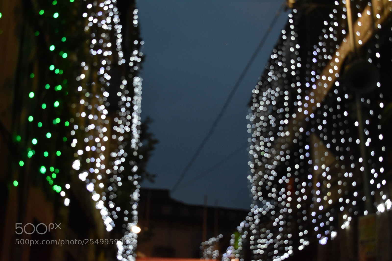 Nikon D3400 sample photo. Untitled photography