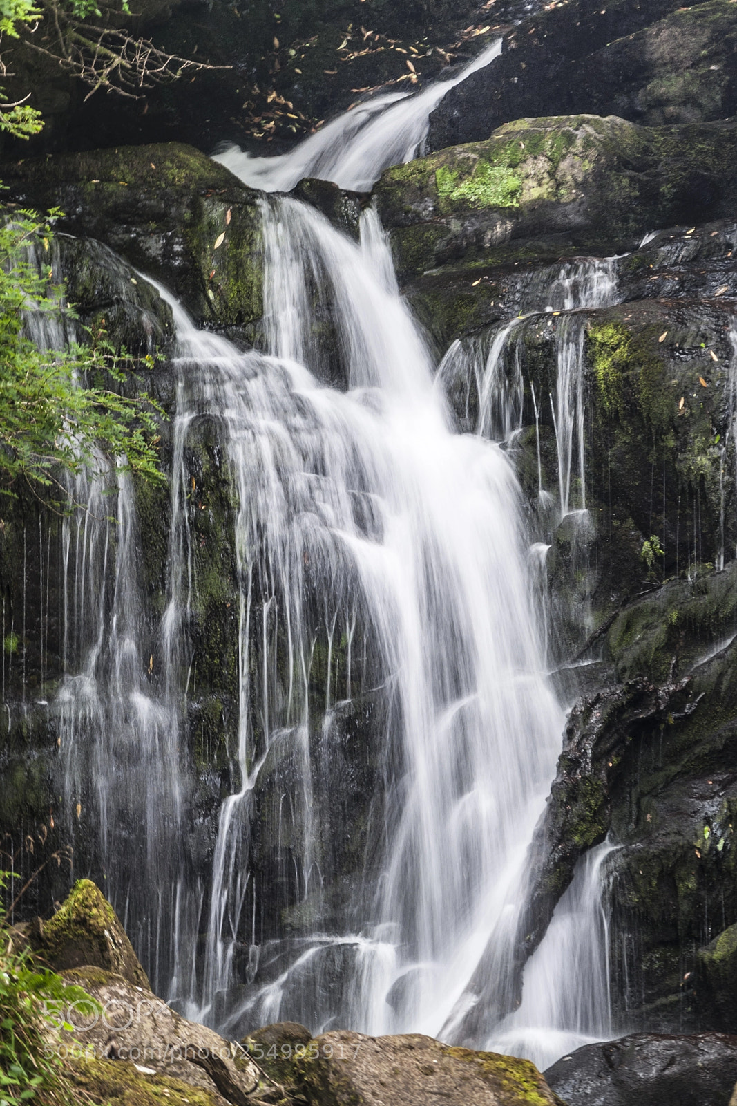 Nikon D5000 sample photo. Killarney park waterfall photography