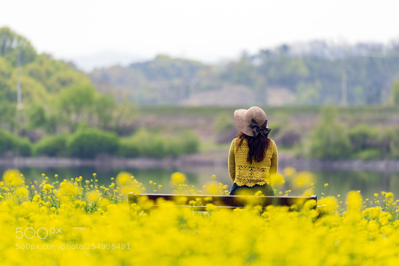 Sony a7R III sample photo. With spring photography