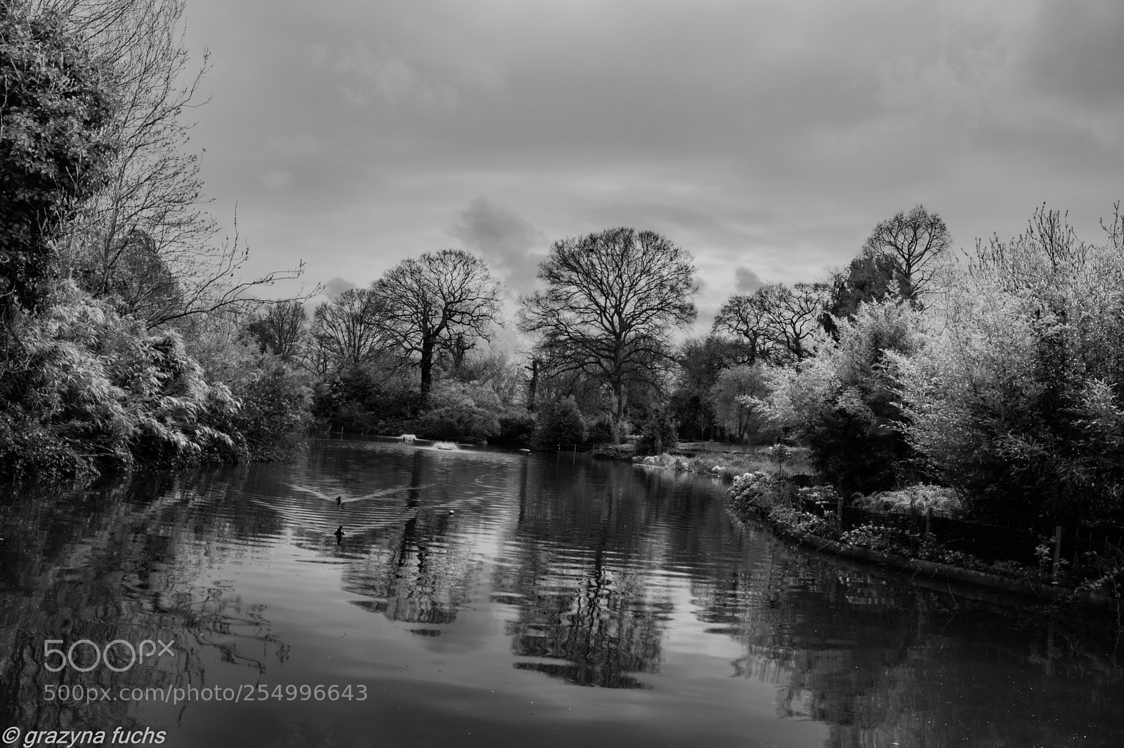 Nikon D3300 sample photo. A sense of tranquility photography
