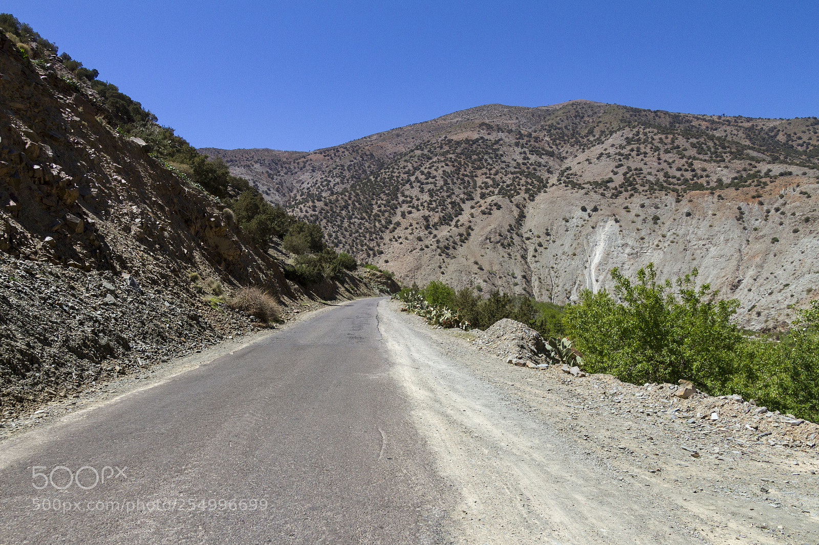 Canon EOS 7D sample photo. 2018-3748.jpg photography