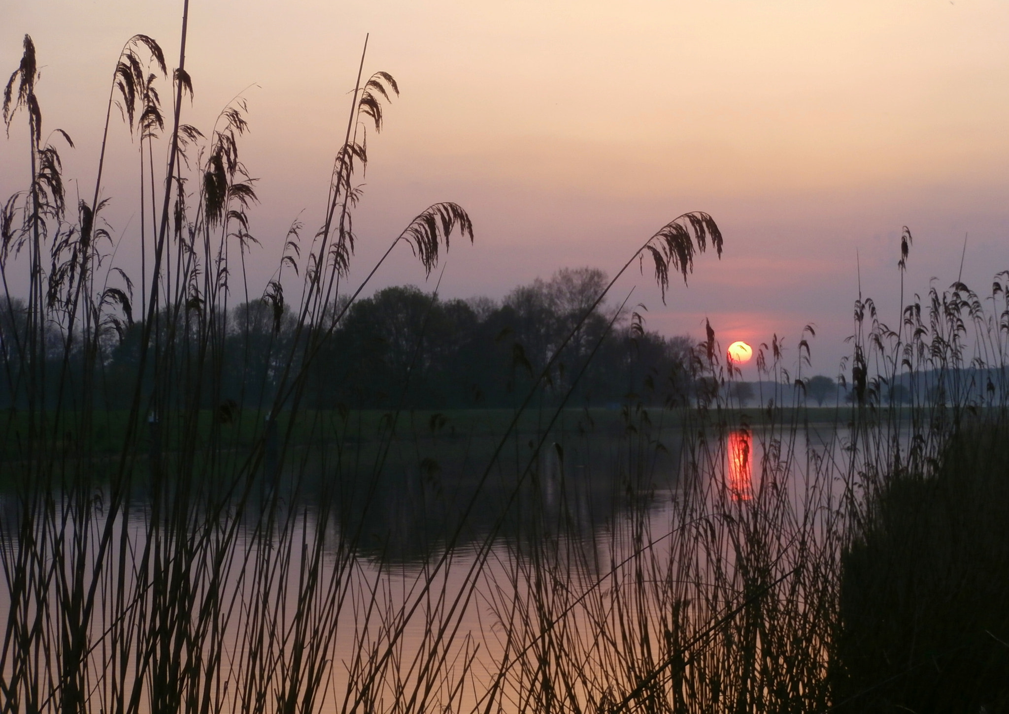 Olympus VR340,D750 sample photo. Another sunset. photography
