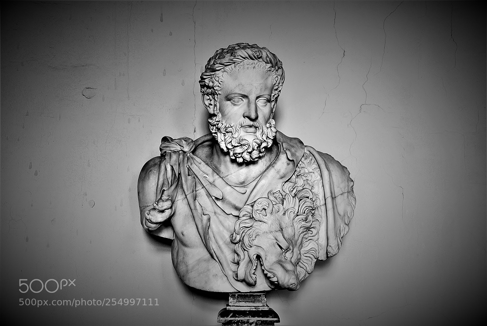 Nikon D40X sample photo. () photography