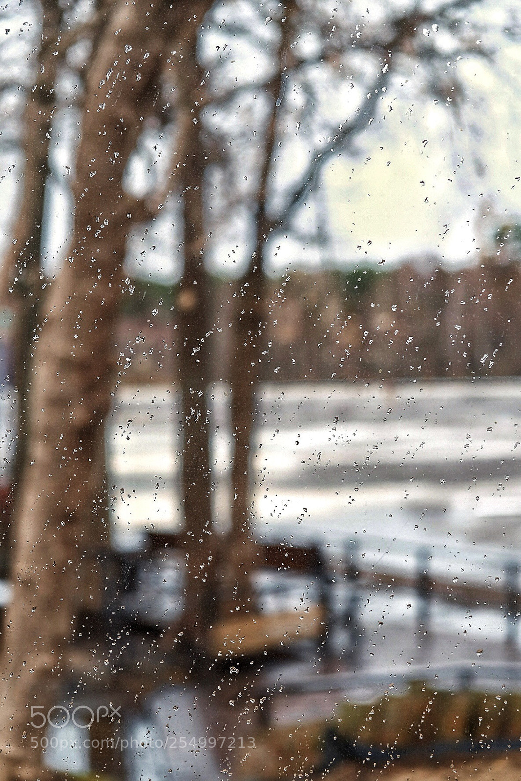 Fujifilm X-T2 sample photo. Untitled photography