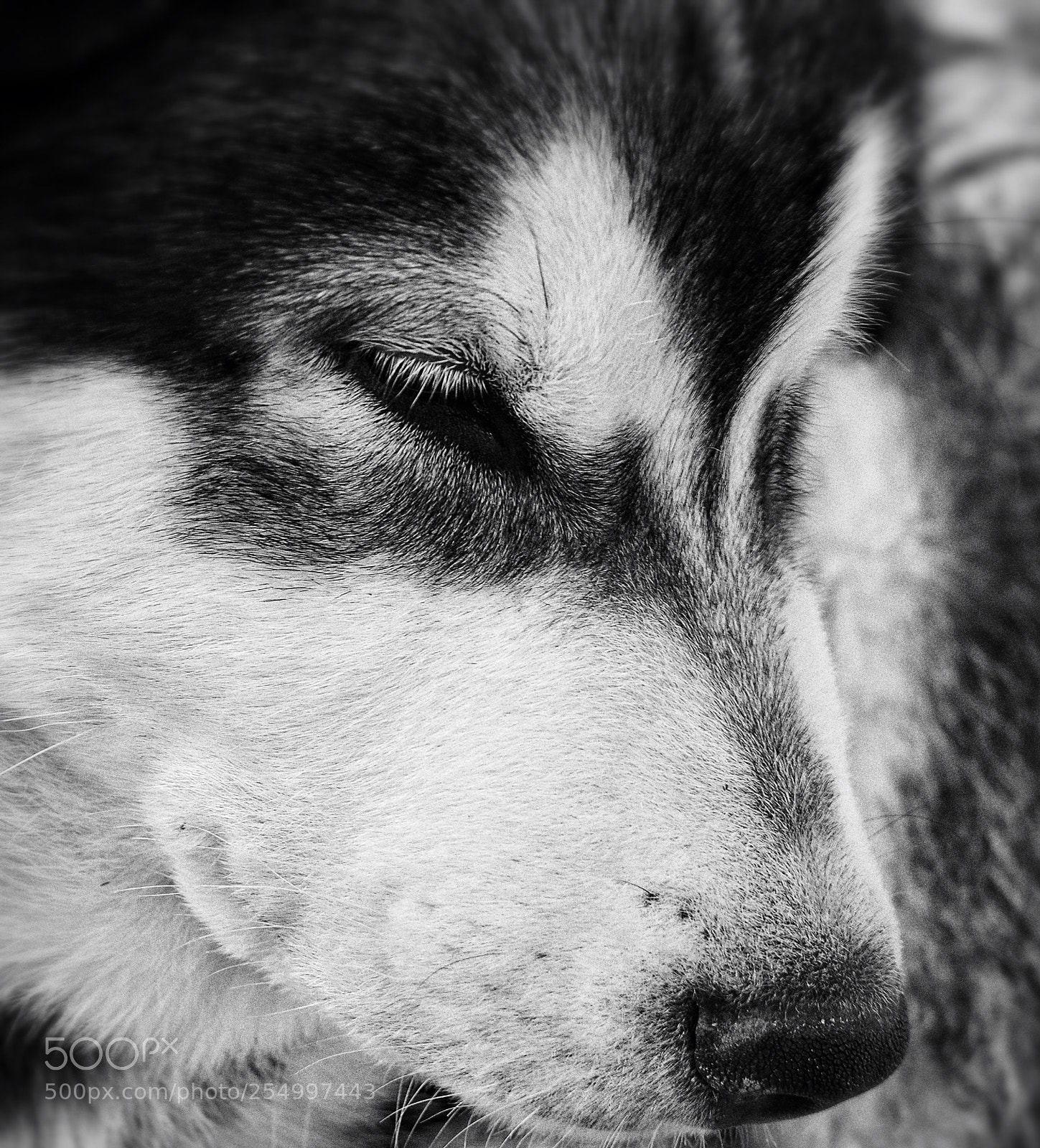 Nikon D7000 sample photo. Img photography