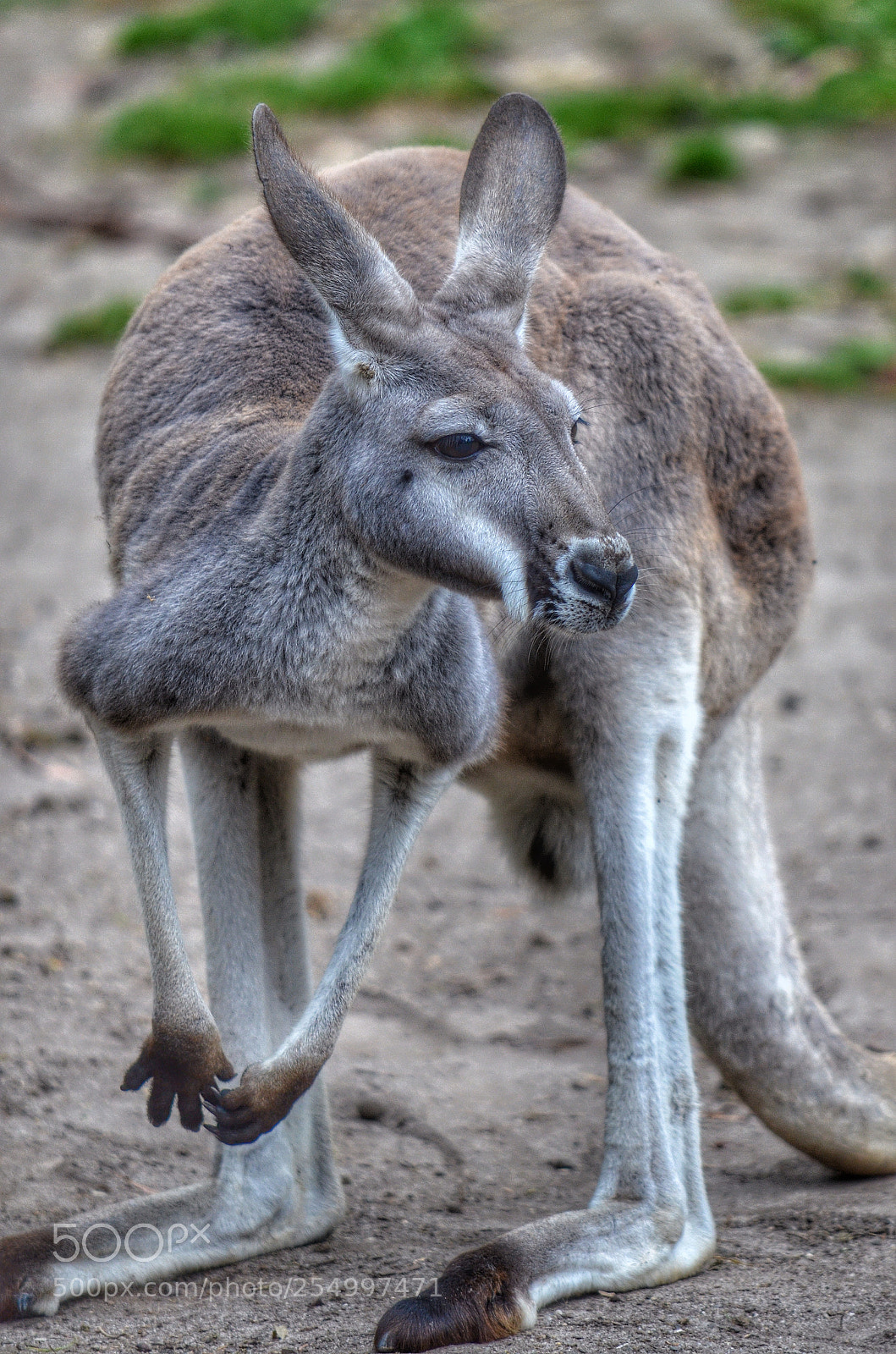 Nikon D7000 sample photo. Img photography