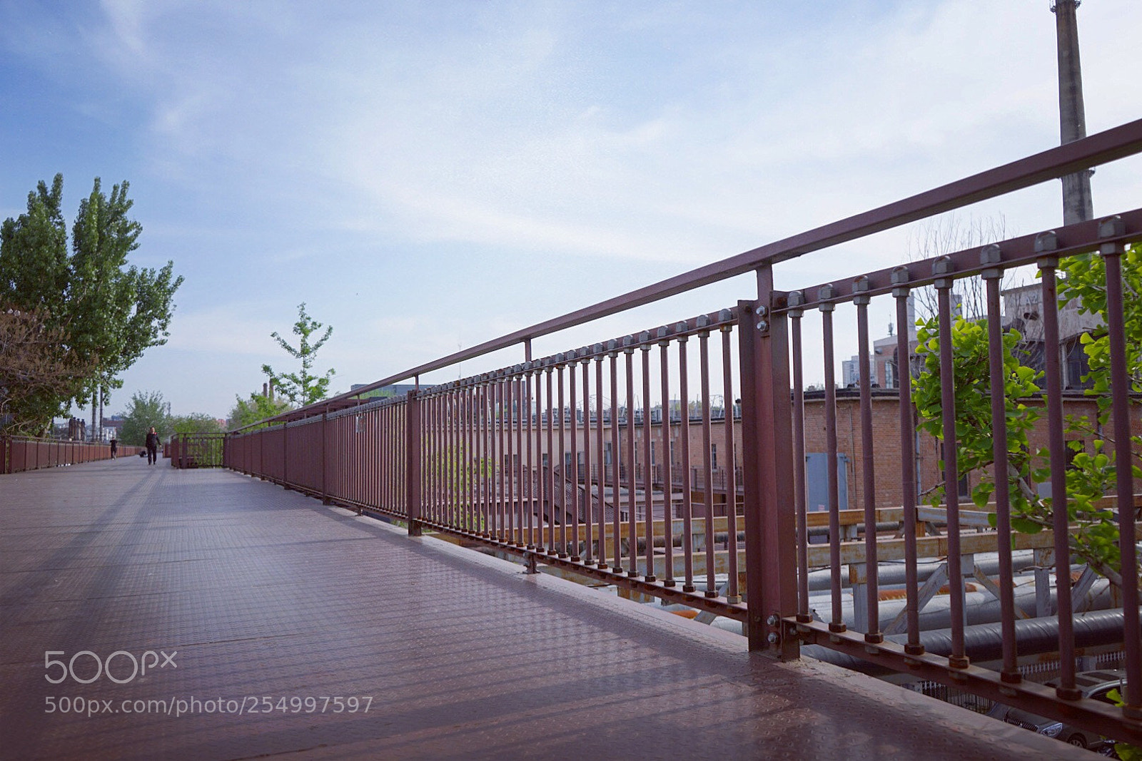 Sony a7 sample photo. Summer is coming photography