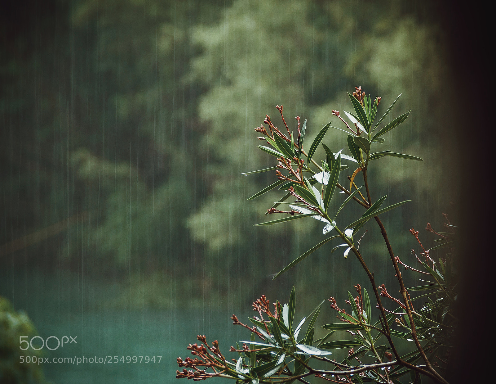 Canon EOS 7D sample photo. Processed with vsco with photography