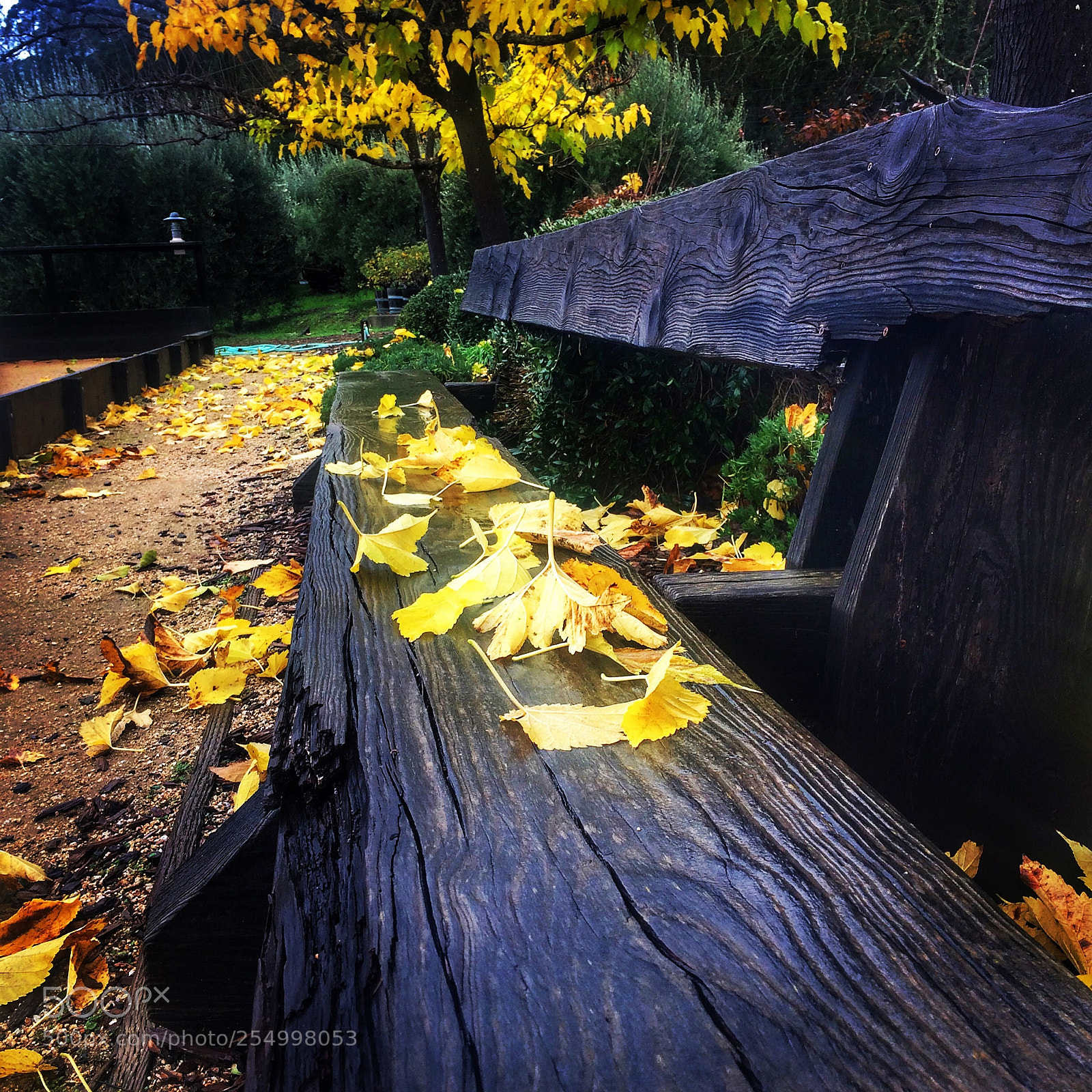 Apple iPhone 5s sample photo. Autumn  photography