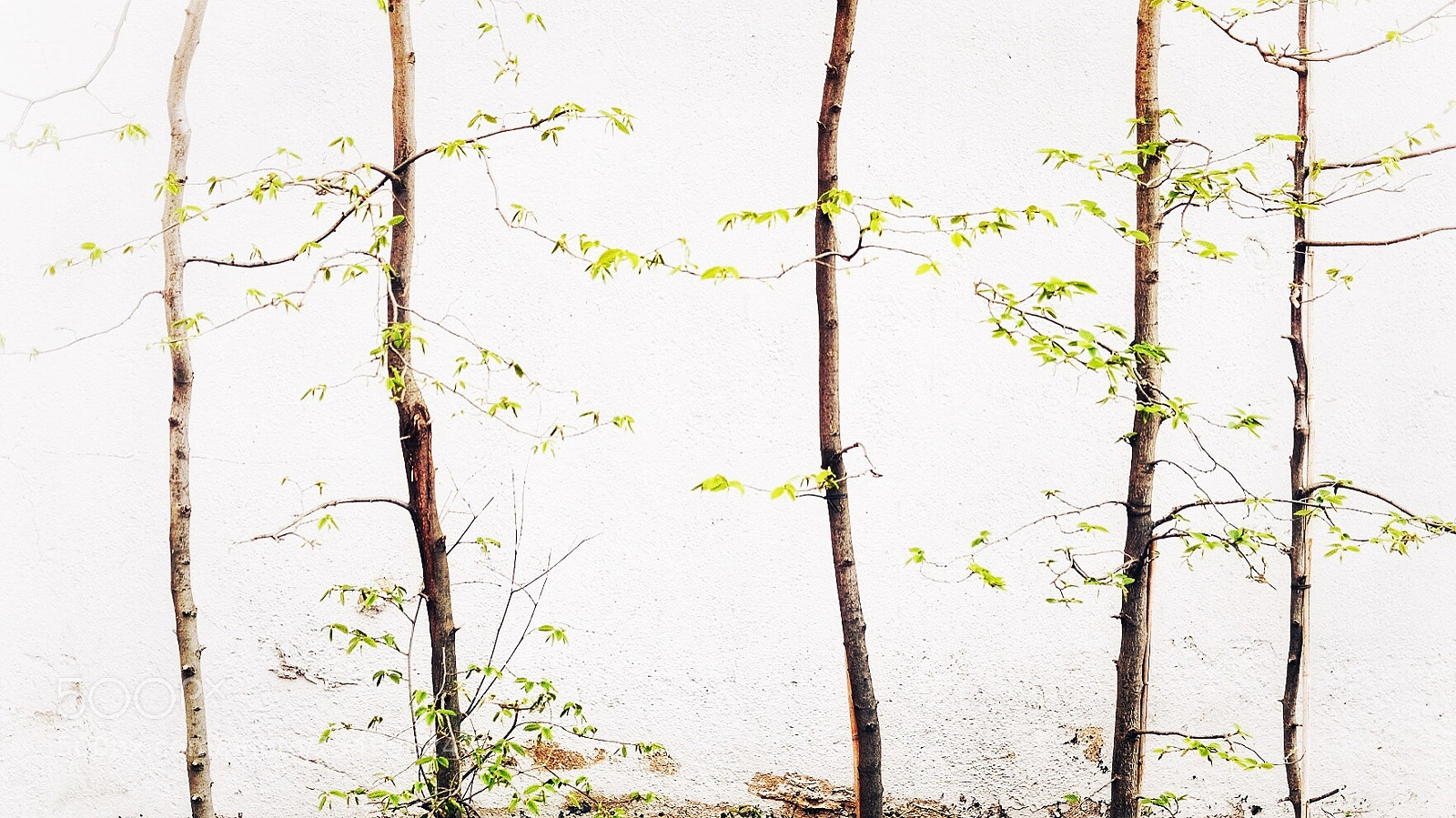 Fujifilm X-T10 sample photo. Untitled photography