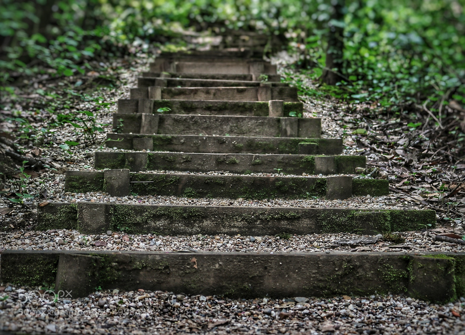 Canon EOS 750D (EOS Rebel T6i / EOS Kiss X8i) sample photo. Stairs photography