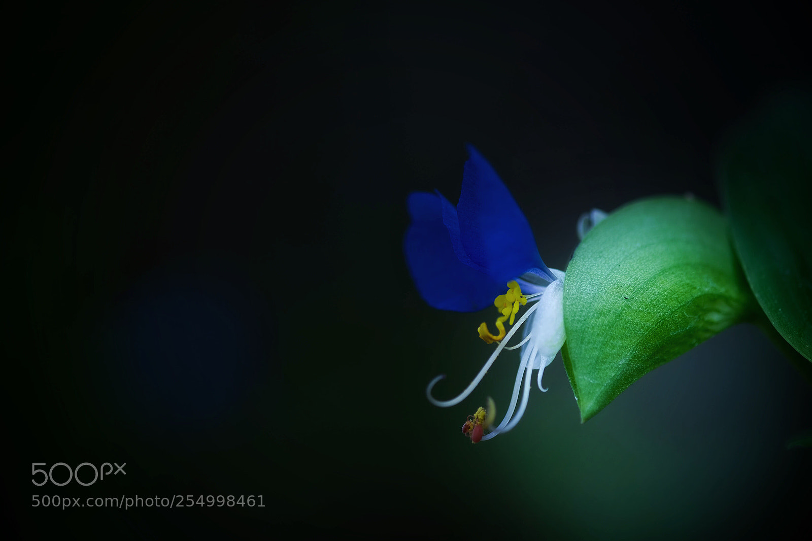 Fujifilm X-T1 sample photo. Untitled photography