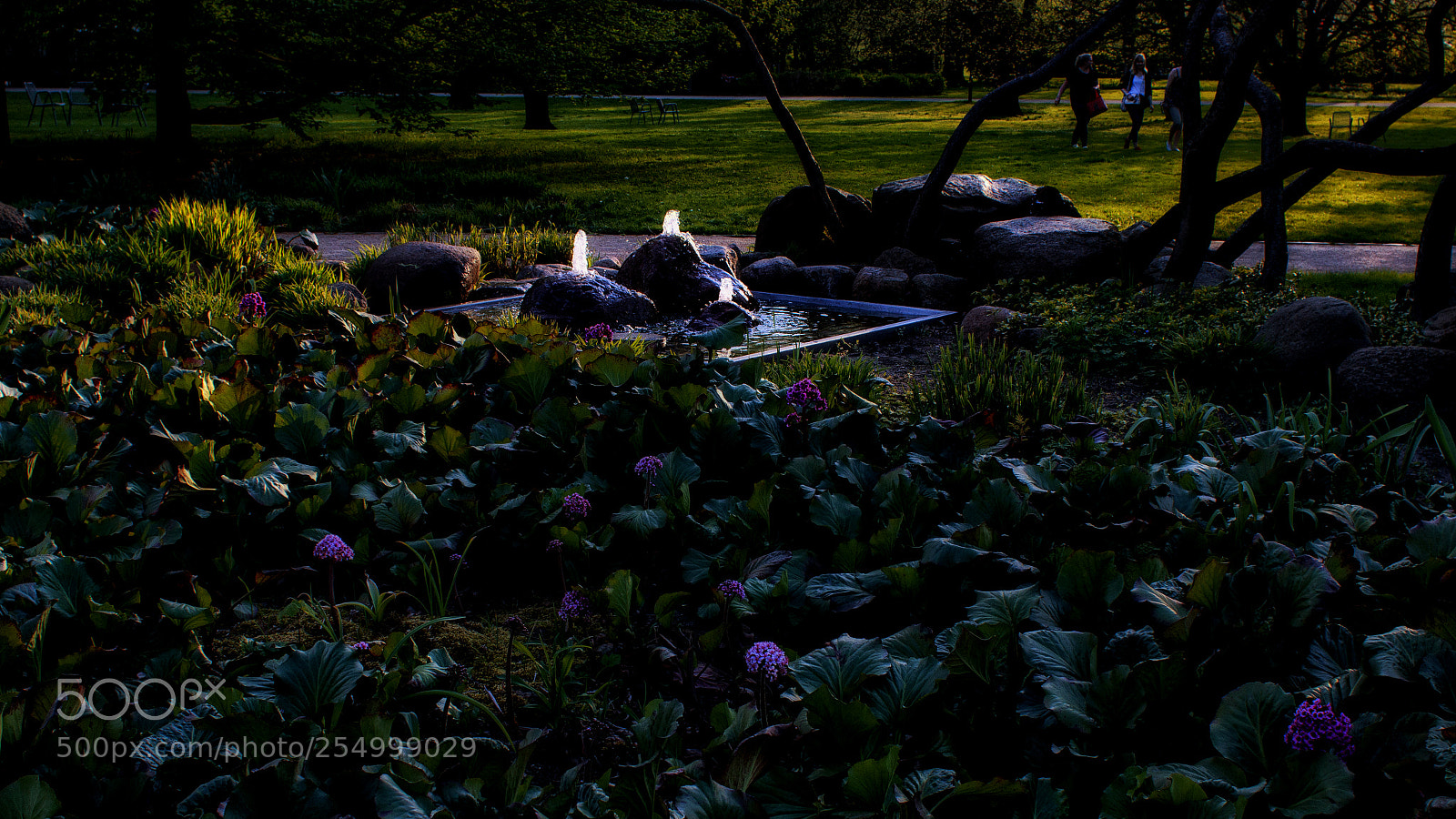 Canon EOS 70D sample photo. Last sunlight over the photography