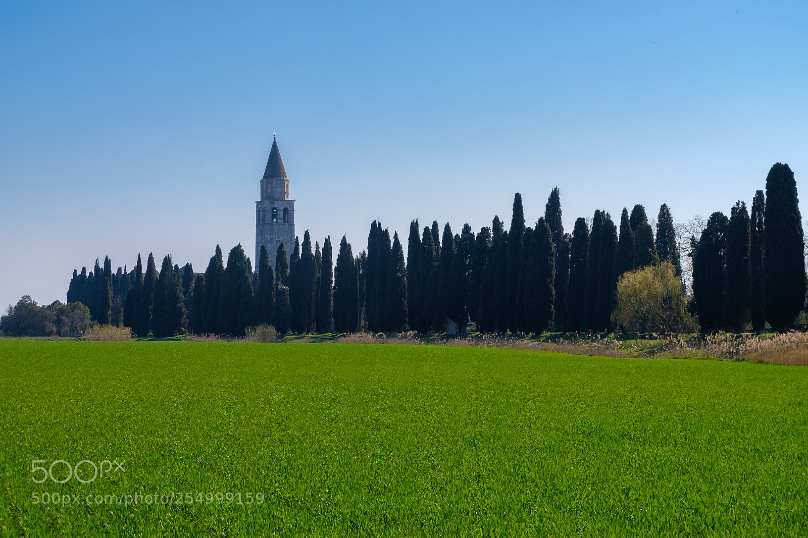 Fujifilm X-T10 sample photo. Aquileia photography
